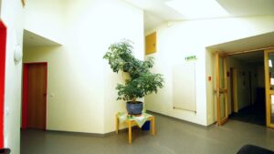 djo landesheim rot mittleres geschoss flur